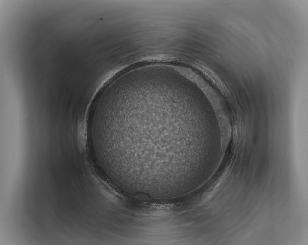 X0000111350484200907101213