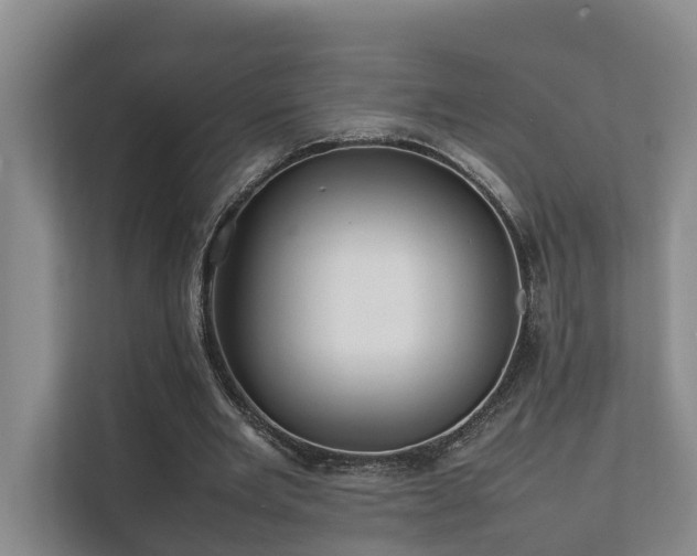 X0000111350485200907101213