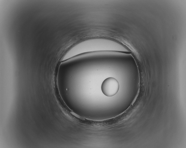 X0000111350489200907101213