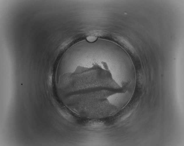 X0000111350491200907101213