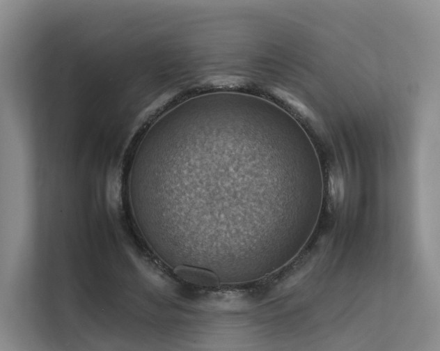 X0000111350492200907101213