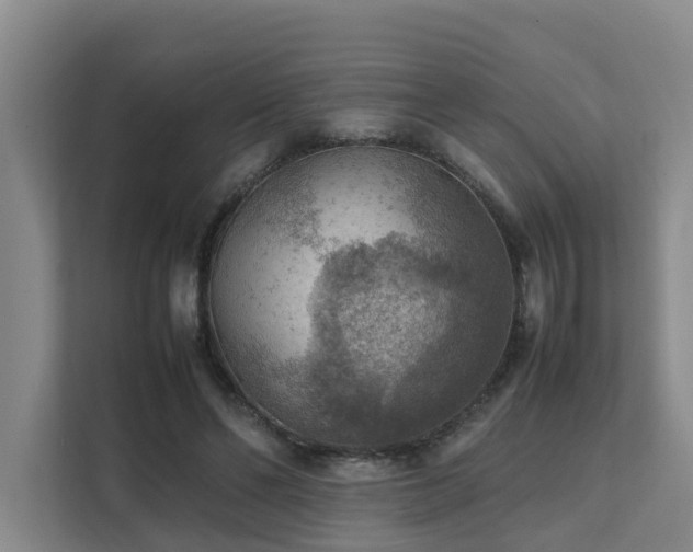 X0000111350494200907101213