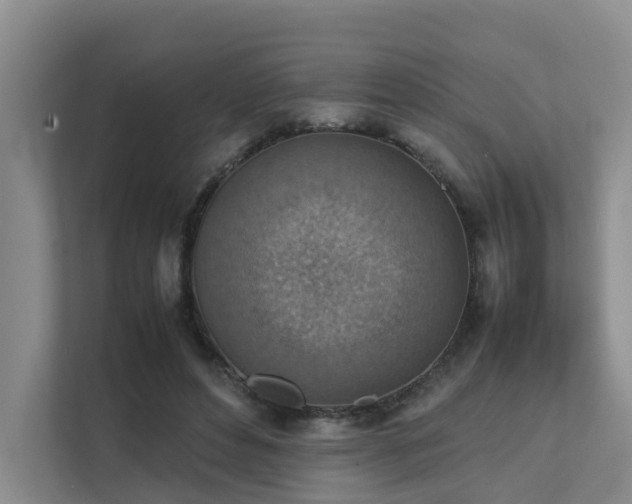 X0000111350496200907101213