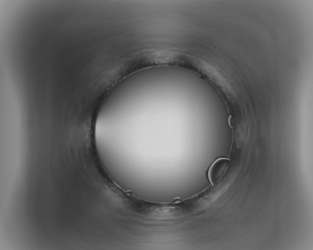 X0000111350497200907101213
