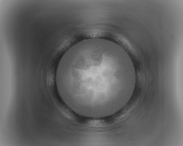 X0000111350499200907101213