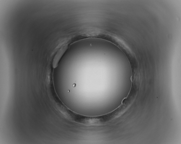 X0000111350501200907101213