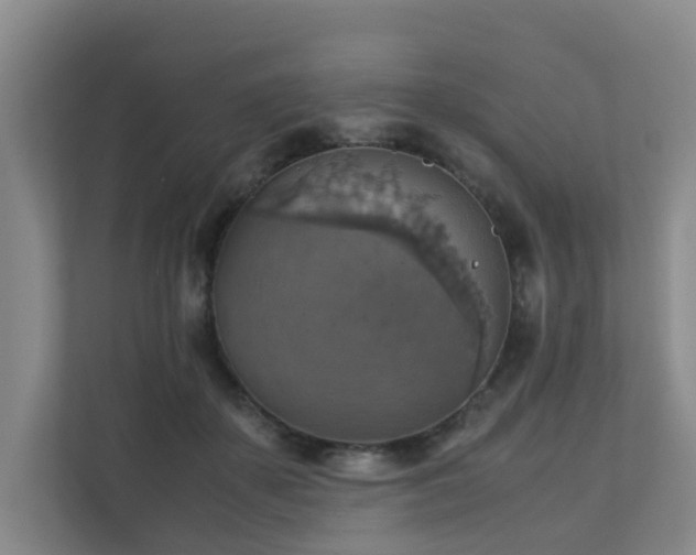 X0000111350507200907101213