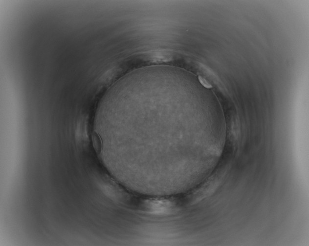 X0000111350512200907101213