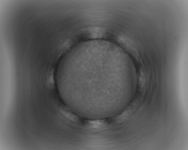 X0000111350516200907101213