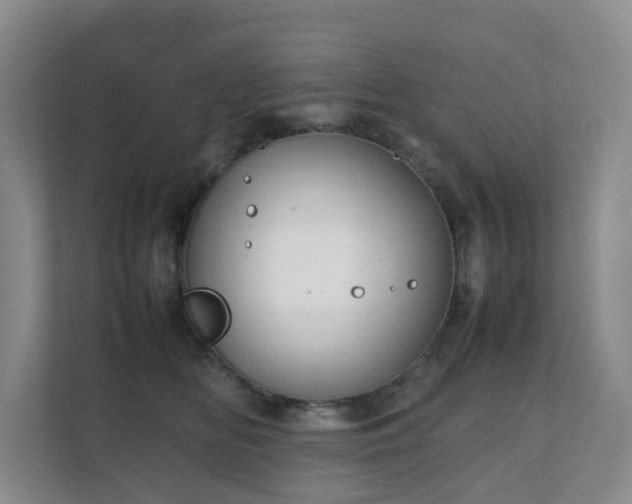 X0000111350518200907101213