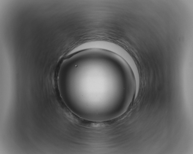 X0000111350520200907101213