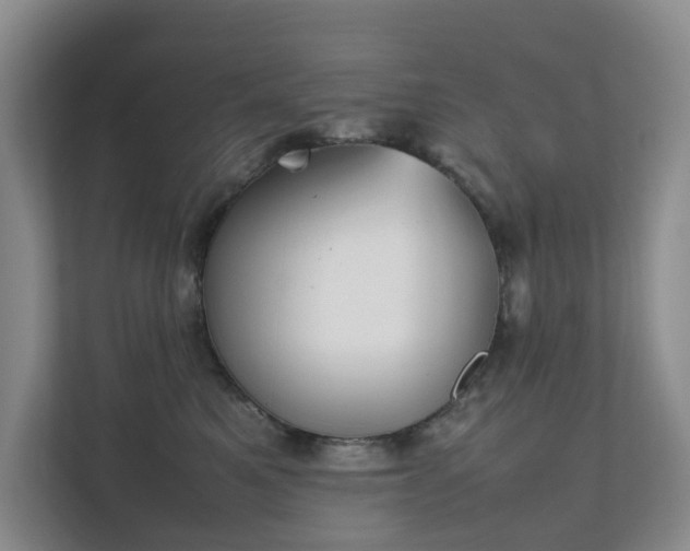 X0000111350521200907101213