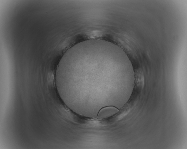 X0000111350523200907101212