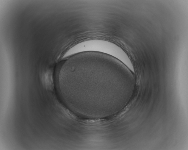 X0000111350524200907101212