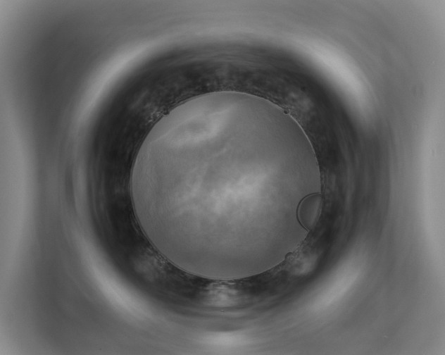 X0000111350526200907101212
