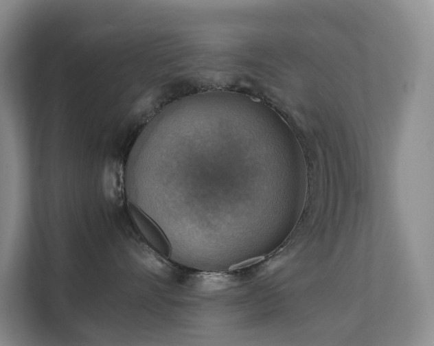 X0000111350528200907101212