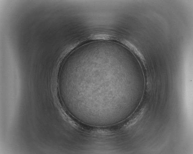 X0000111350529200907101212