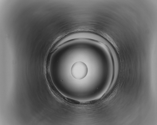 X0000111350530200907101212