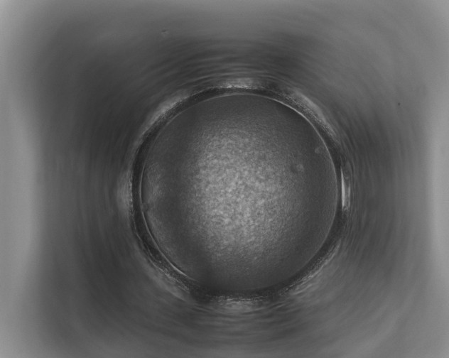 X0000111350531200907101212