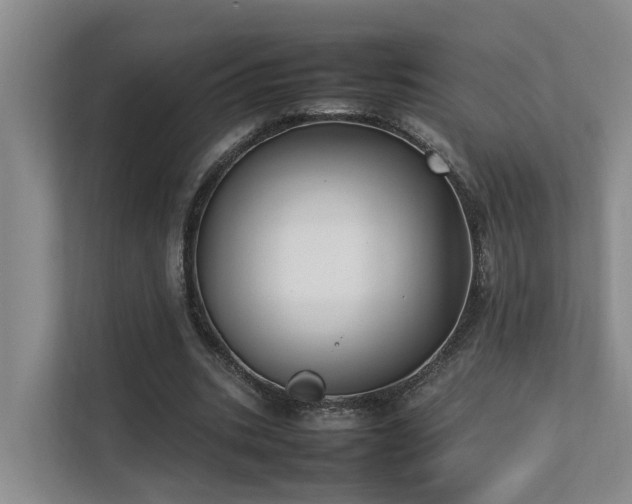 X0000111350535200907101212