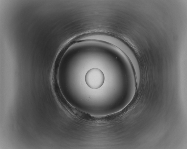 X0000111350536200907101212