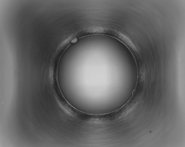 X0000111350538200907101212
