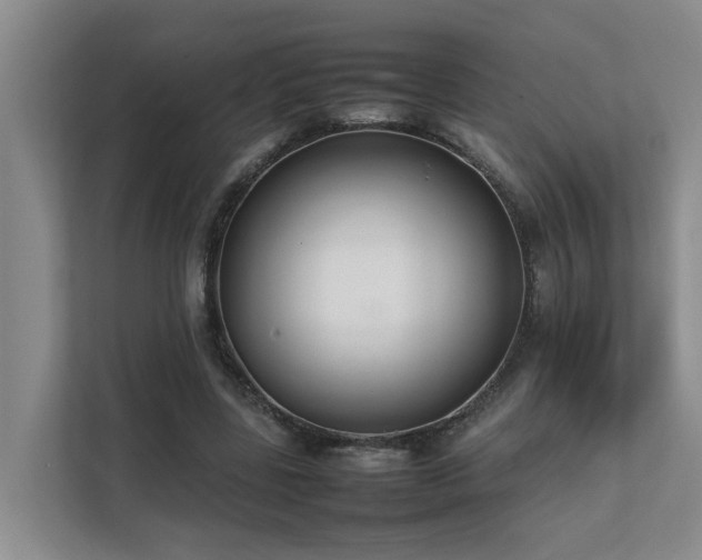 X0000111350539200907101212
