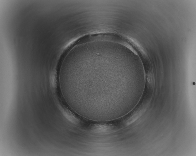 X0000111350540200907101212