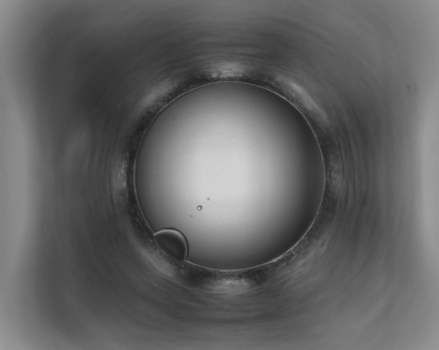 X0000111350543200907101212