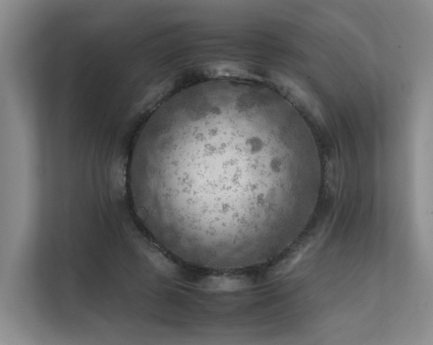 X0000111350545200907101212