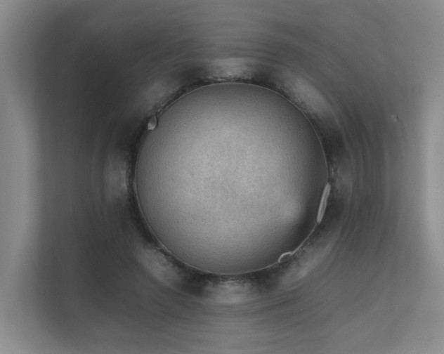 X0000111350546200907101212