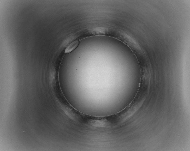 X0000111350548200907101212