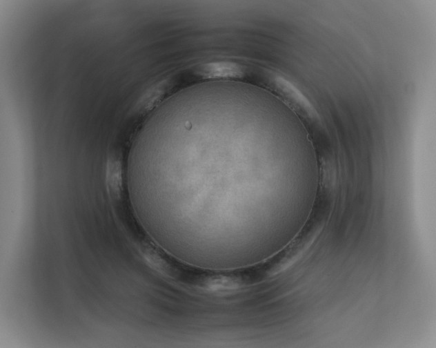 X0000111350549200907101212