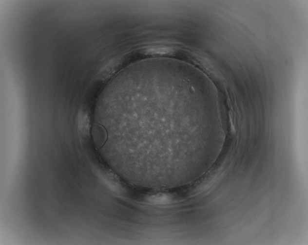 X0000111350551200907101212