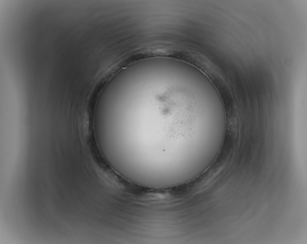 X0000111350552200907101212