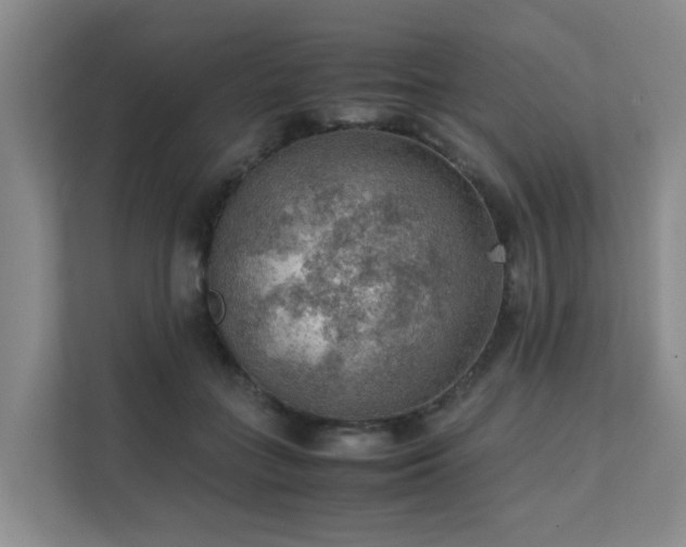 X0000111350555200907101212