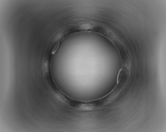 X0000111350556200907101212