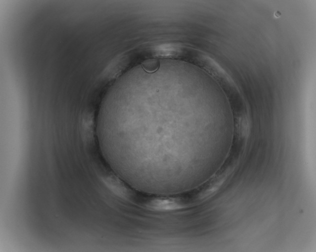 X0000111350557200907101212