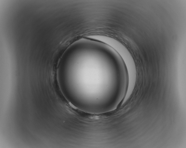 X0000111350558200907101212