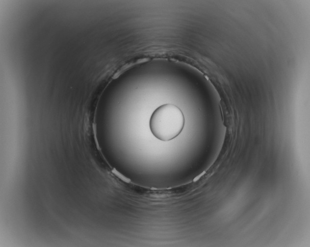 X0000111350560200907101212