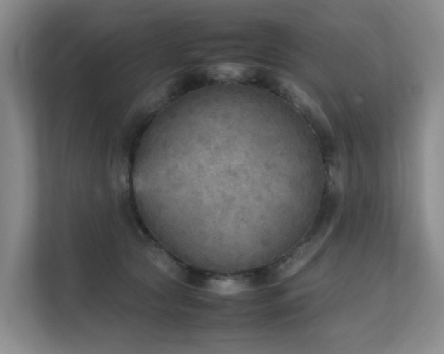 X0000111350561200907101212