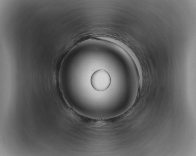 X0000111350562200907101212