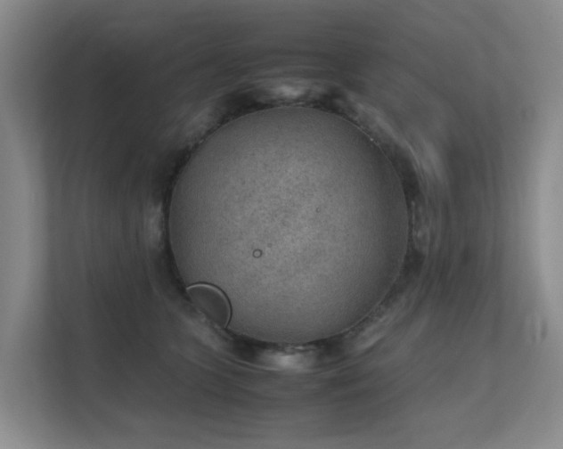 X0000111350563200907101212