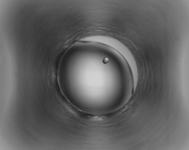 X0000111350566200907101212