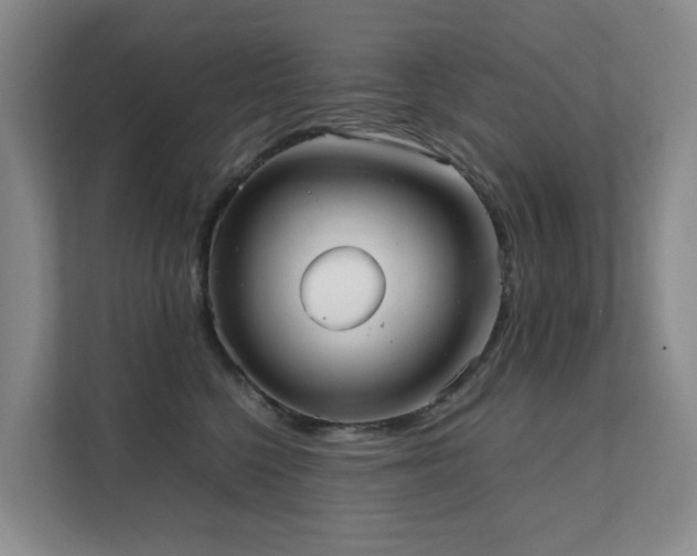 X0000111350568200907101212