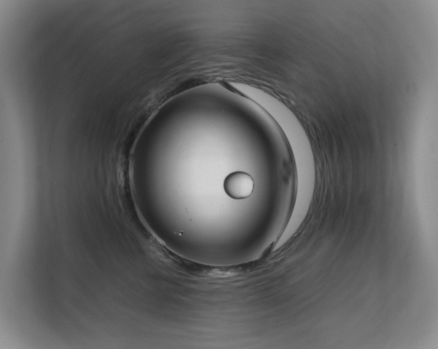 X0000111350570200907101212