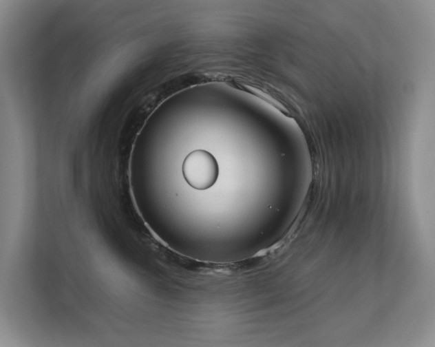 X0000111350572200907101212