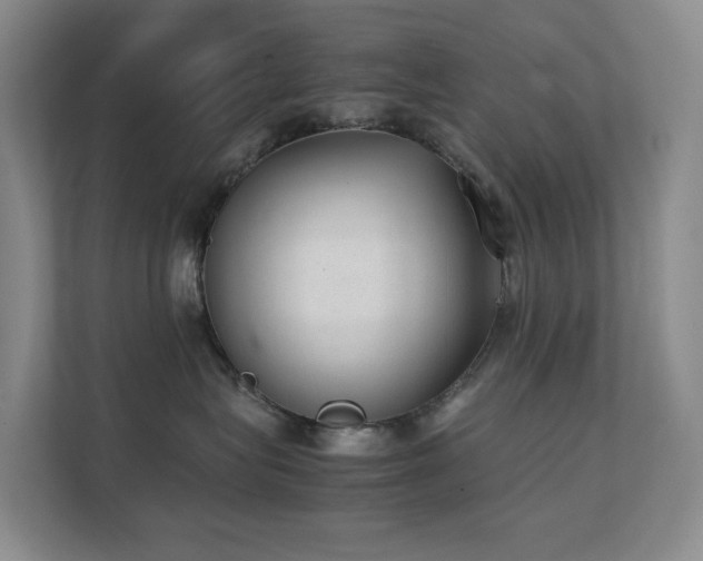 X0000111350575200907101212