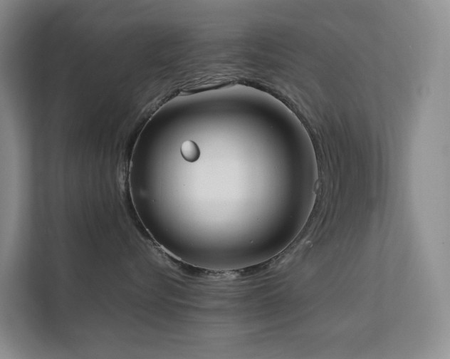 X0000111350576200907101212