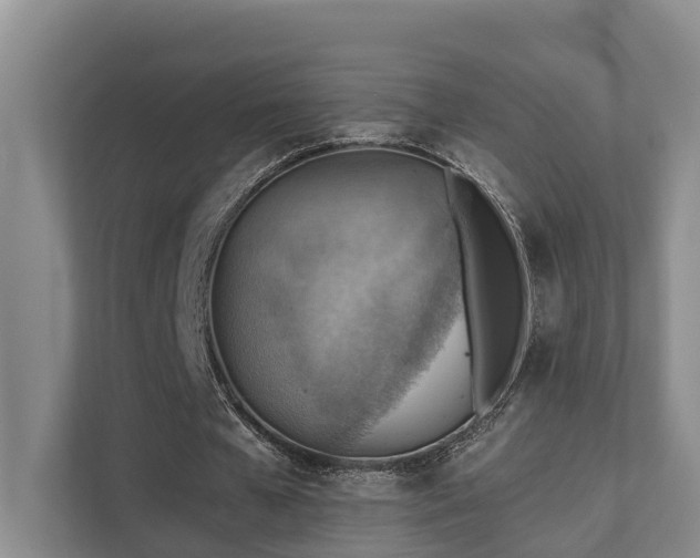 X0000111350577200907101212